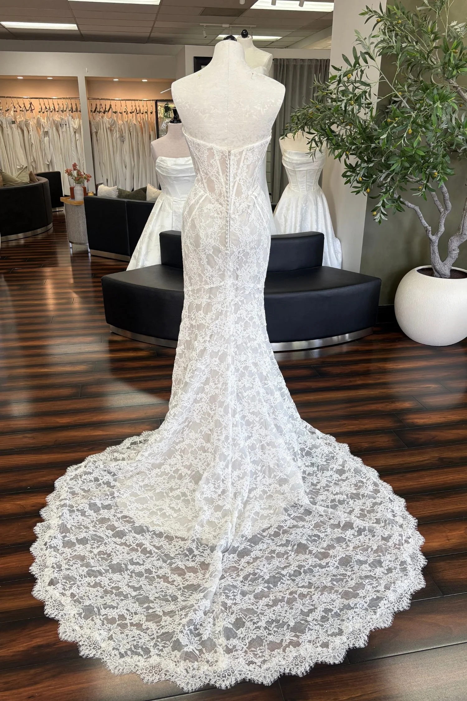 New Dresses — Olive & Ivory